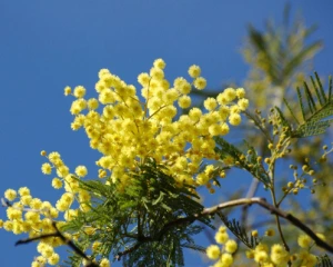 Синоптики порадували прогнозом на п'ятницю