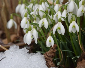В Україну йде похолодання: прогноз на вихідні